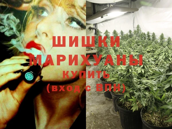 мдпв Балахна