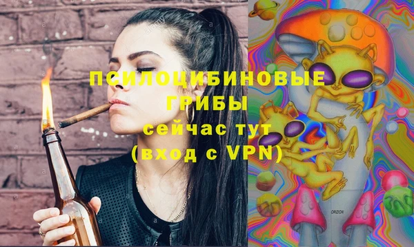 винт Баксан