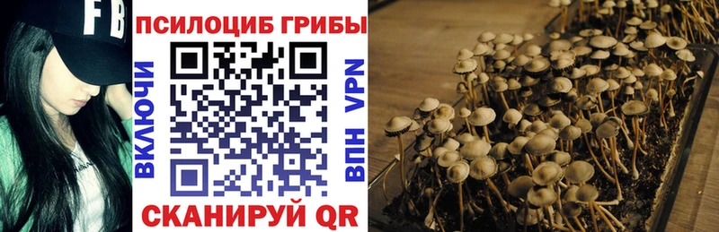 Псилоцибиновые грибы Psilocybe  даркнет формула  Пыть-Ях 