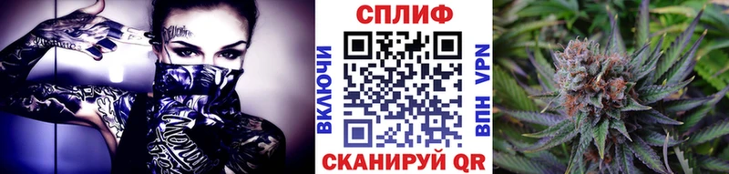 Бошки Шишки THC 21% Пыть-Ях